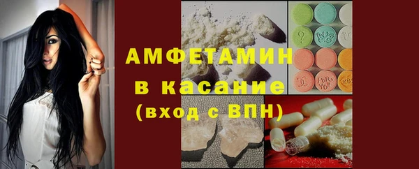 гидра Абаза