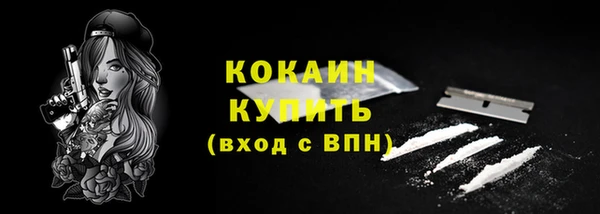 гидра Абаза