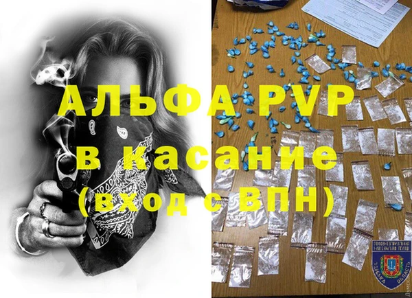 гидра Абаза