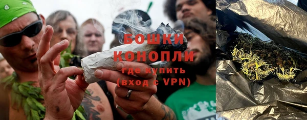 ГАЛЛЮЦИНОГЕННЫЕ ГРИБЫ Абдулино
