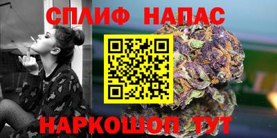 прущие крисы Ипатово