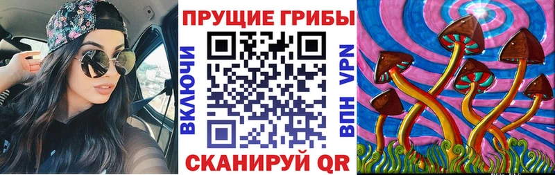 mega ONION  Людиново  Галлюциногенные грибы мицелий 